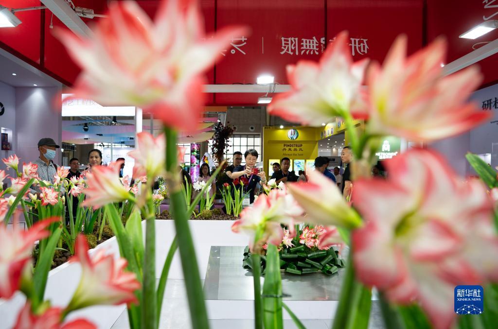 姚记斗地主官方下载
